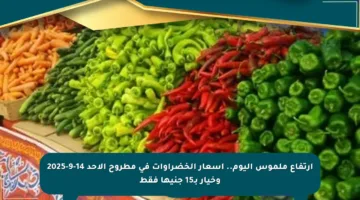 ارتفاع ملموس اليوم.. أسعار الخضراوات في مطروح الأحد 14-9-2025 وخيار بـ15 جنيها فقط